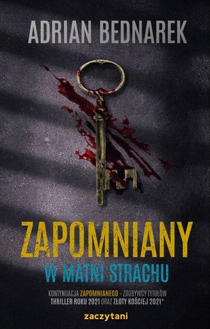 Zapomniany. W matni strachu  – ebook