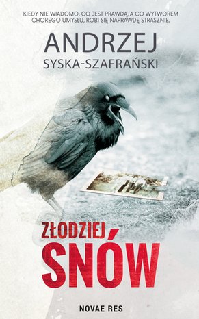 Złodziej snów – ebook