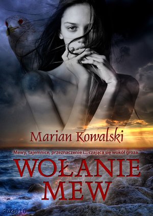 Wołanie mew – ebooki