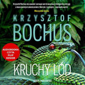Kruchy lód – audiobooki