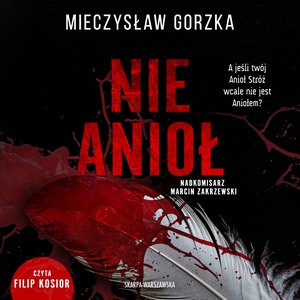 Nie Anioł – audiobooki