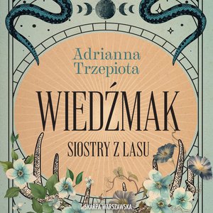 Siostry z lasu. Wiedźmak – audiobooki