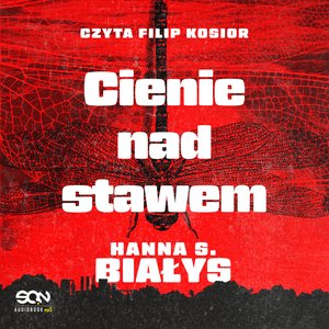 Cienie nad stawem – audiobook