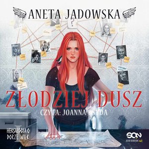 Złodziej dusz (Dora Wilk 1) – audiobook
