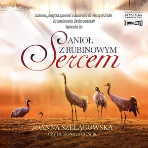 Anioł z rubinowym sercem – audiobooki