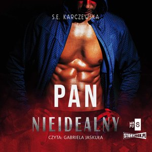 Pan Nieidealny – audiobooki