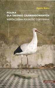 Polska dla średnio zaawansowanych. Współczesna polskość codzienna – ebooki