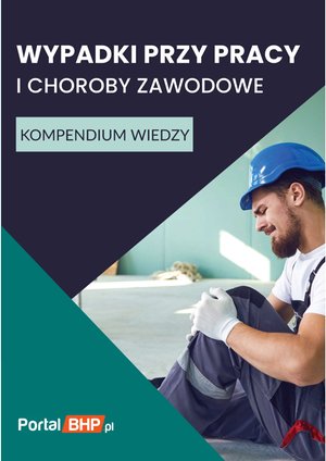 Wypadki przy pracy i choroby zawodowe. Kompendium wiedzy – ebooki