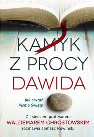 Kamyk z procy Dawida. Jak czytać Pismo Święte – ebooki