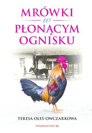 Mrówki w płonącym ognisku – ebooki