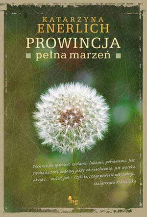 Prowincja pełna marzeń – ebooki