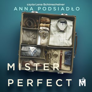 Mister Perfect – audiobook