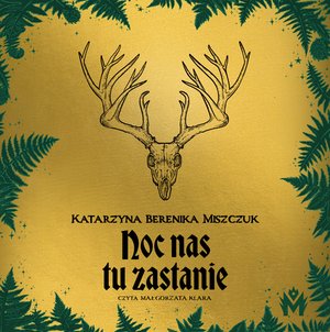Noc nas tu zastanie – audiobook
