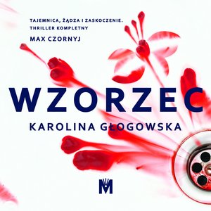 Wzorzec – audiobook