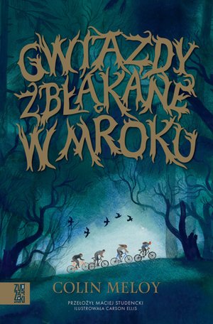 Gwiazdy zbłąkane w mroku – ebooki