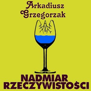 Nadmiar rzeczywistości – audiobook