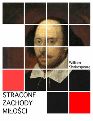 Stracone zachody miłości – ebook