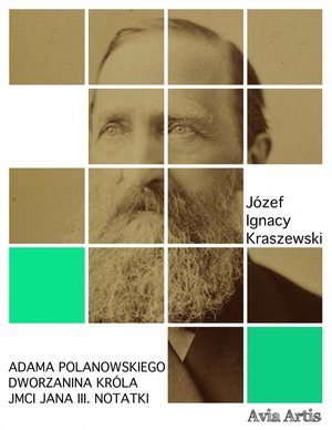 Adama Polanowskiego Dworzanina Króla JMCI Jana III. Notatki – ebook