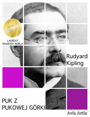 Puk z Pukowej Górki – ebook