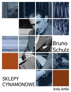 Opowiadania: Sklepy cynamonowe – ebook