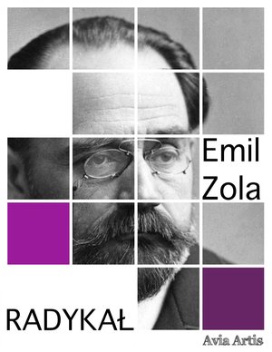 Radykał – ebook