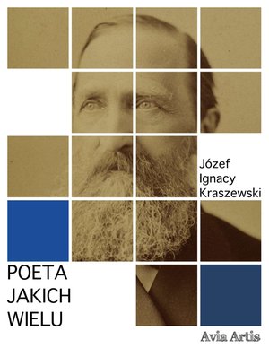 Poeta jakich wielu – ebook