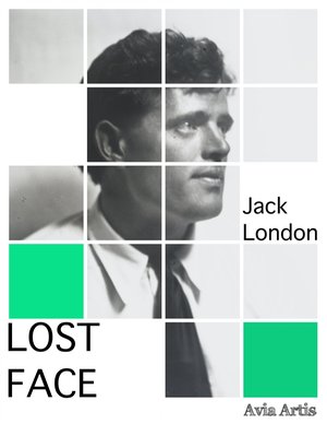 Lost Face – ebook