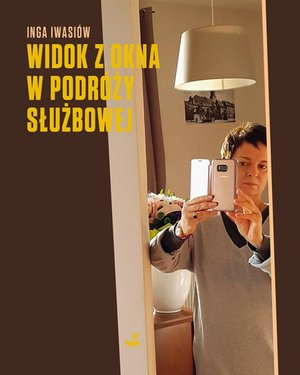 Widok z okna w podróży służbowej – ebook