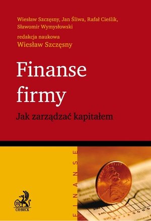 Finanse firmy. Jak zarządzać kapitałem – ebook