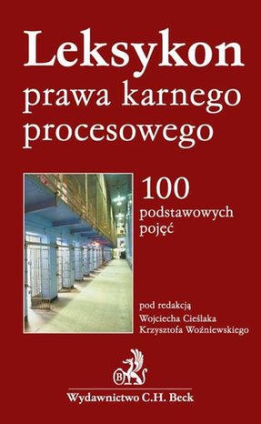 Leksykon prawa karnego procesowego 100 podstawowych pojęć – ebook