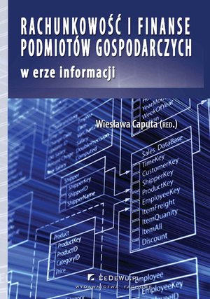 Rachunkowość i finanse podmiotów gospodarczych w erze informacji – ebook