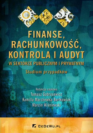 Finanse, rachunkowość, kontrola i audyt w sektorze publicznym i prywatnym. Studium przypadków – ebook