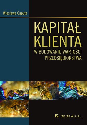 Kapitał klienta w budowaniu wartości przedsiębiorstwa – ebook