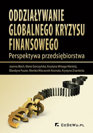 Oddziaływanie globalnego kryzysu finansowego. Perspektywa przedsiębiorstwa – ebook