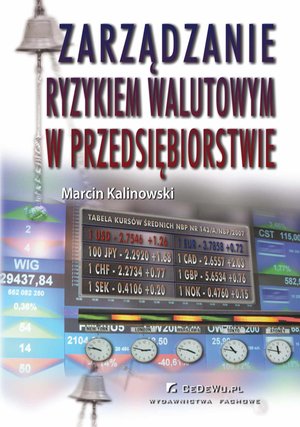 Zarządzanie ryzykiem walutowym w przedsiębiorstwie – ebook