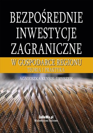 Bezpośrednie inwestycje zagraniczne w gospodarce regionu. Teoria i praktyka – ebook