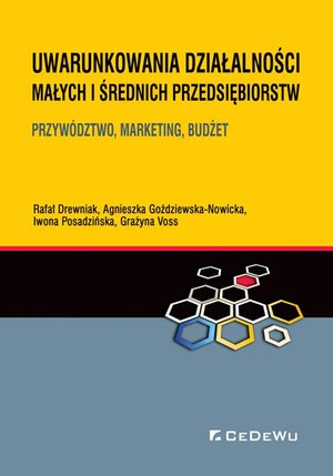Uwarunkowania działalności małych i średnich przedsiębiorstw. Przywództwo, marketing, budżet – ebook