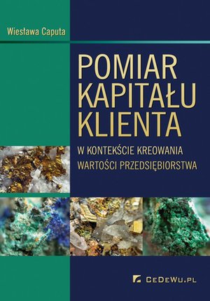 Pomiar kapitału klienta w kontekście kreowania wartości przedsiębiorstwa – ebook