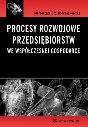 Procesy rozwojowe przedsiębiorstw we współczesnej gospodarce – ebook