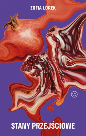 Stany przejściowe – ebook