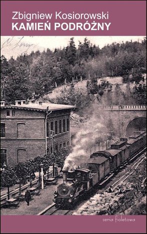 Kamień podróżny – ebook