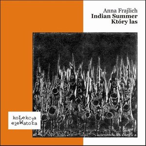 Indian Summer / Który las – ebook