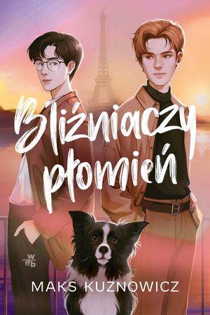 Bliźniaczy płomień – ebook