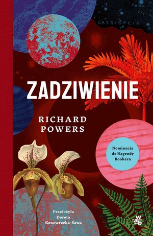 Zadziwienie – ebook