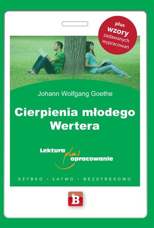 Cierpienia młodego Wertera – ebook