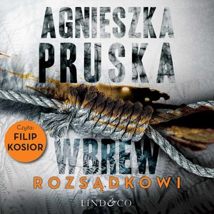Wbrew rozsądkowi. Szajba. Tom 1 – audiobook
