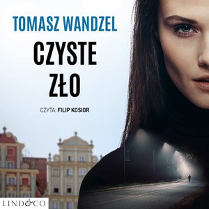 Czyste zło – audiobook