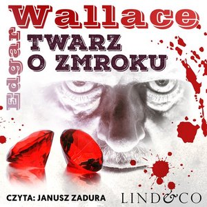 Twarz o zmroku – audiobook
