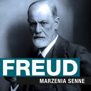 Marzenia senne – audiobook