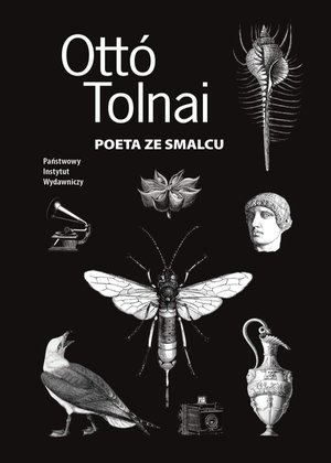 Poeta ze smalcu – ebook